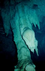 Stelactites in Grand Cenote near Tolume
Mexico. NikonosV... by Marylin Batt 